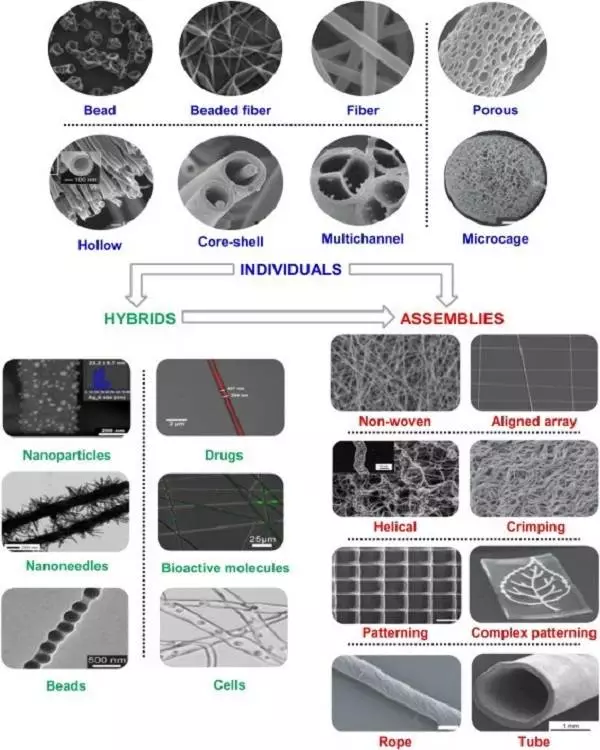 天津大学仰大勇团队综述:生物功能电纺纳米材料——从拓扑结构设计到生物应用的图2